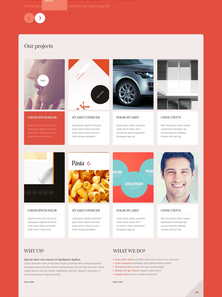 WordPress - WP2010