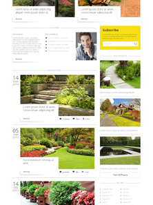 WordPress - WP2409