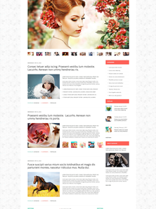 WordPress - WP2425