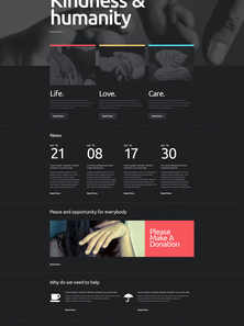 WordPress - WP2537