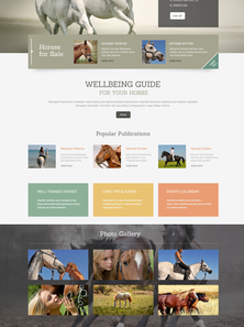 WordPress - WP2573