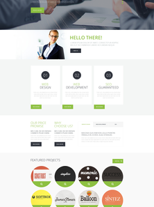 WordPress - WP2645