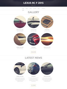 WordPress - WP2730
