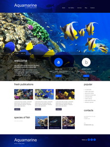 WordPress - WP2807