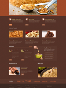 WordPress - WP3095
