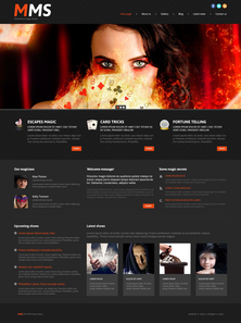 WordPress - WP3161