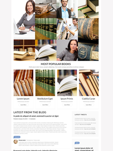 WordPress - WP3270