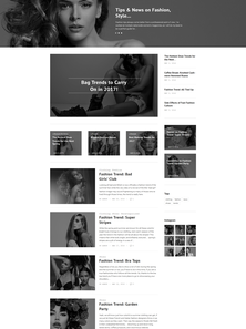 WordPress - WP3484