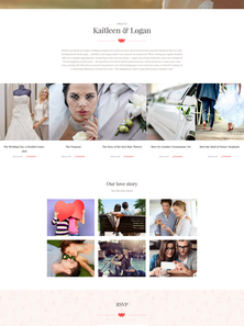 WordPress - WP3552
