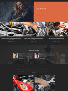 WordPress - WP3556