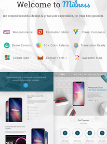 WordPress - WP4010
