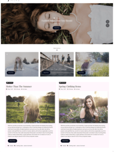 WordPress - WP4033