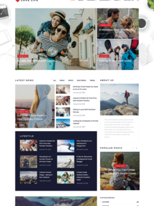 WordPress - WP4110