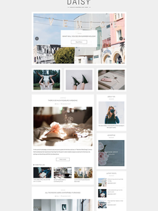 WordPress - WP4172