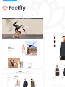 WordPress WooCommerce - W742