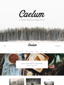 WordPress - WP16511