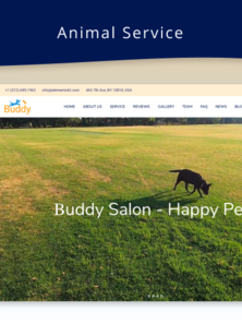 WordPress - WP17350