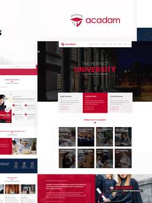 WordPress - WP17585