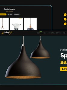 OpenCart  - OC2901