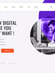 WordPress - WP18543