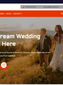 WordPress - WP18919