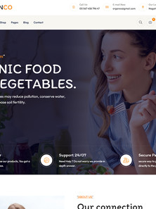 WordPress WooCommerce - W1590