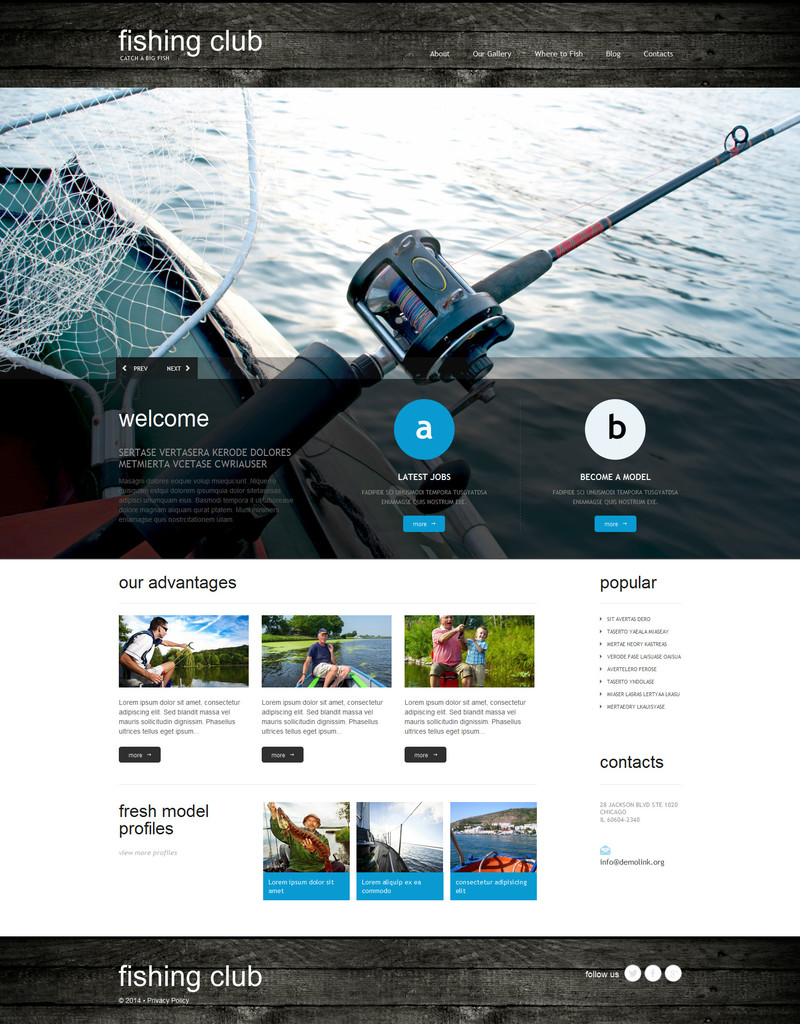 WordPress - WP2808