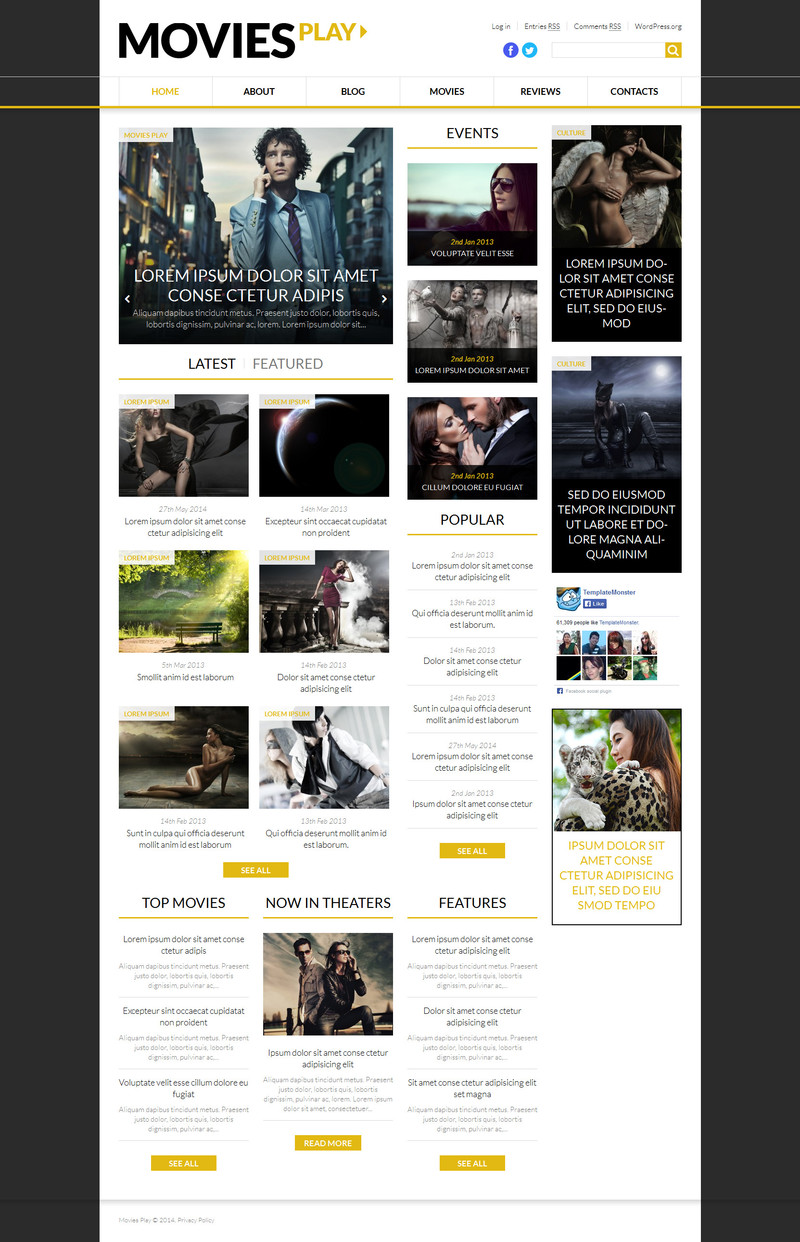WordPress - WP2943
