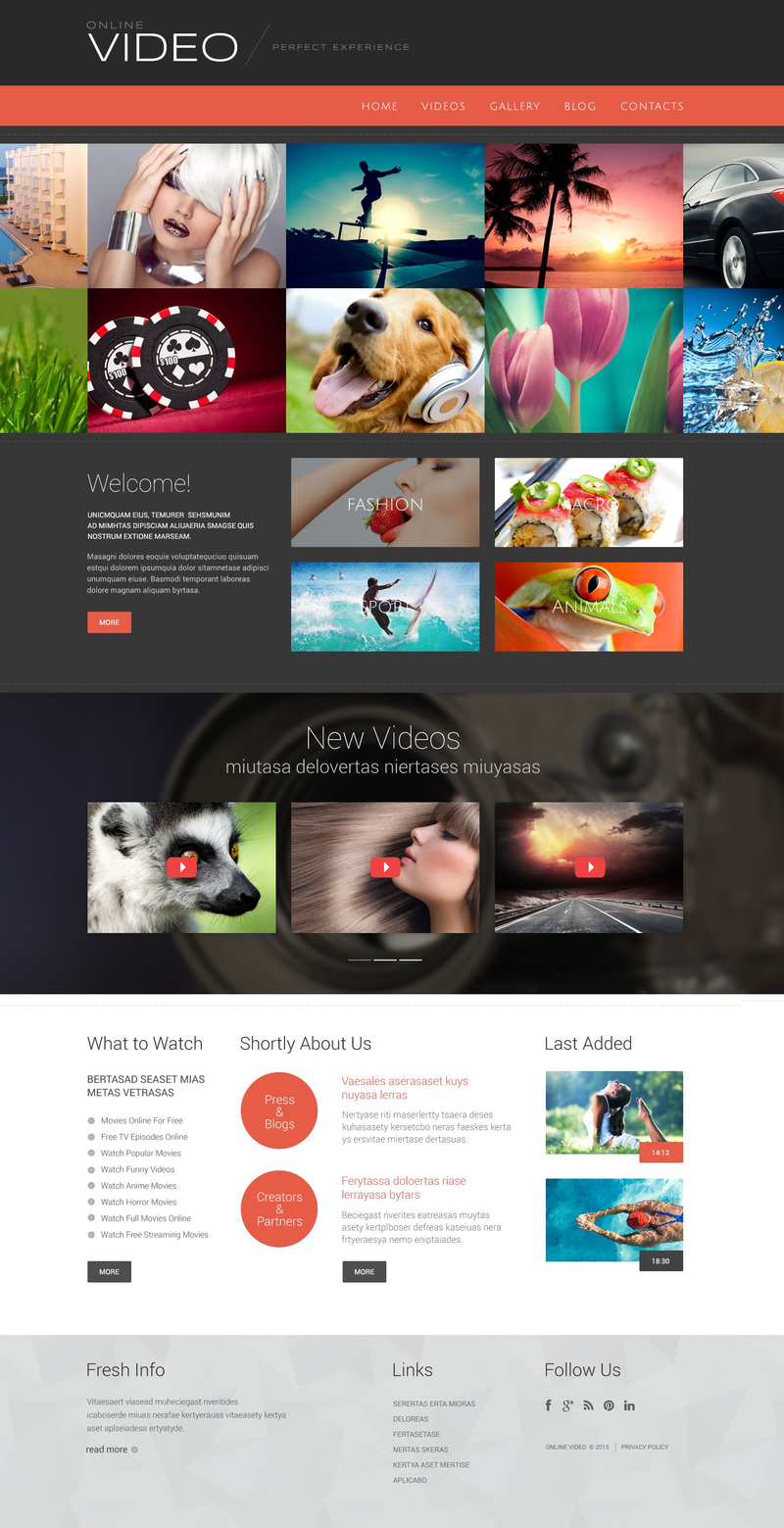 WordPress - WP3131