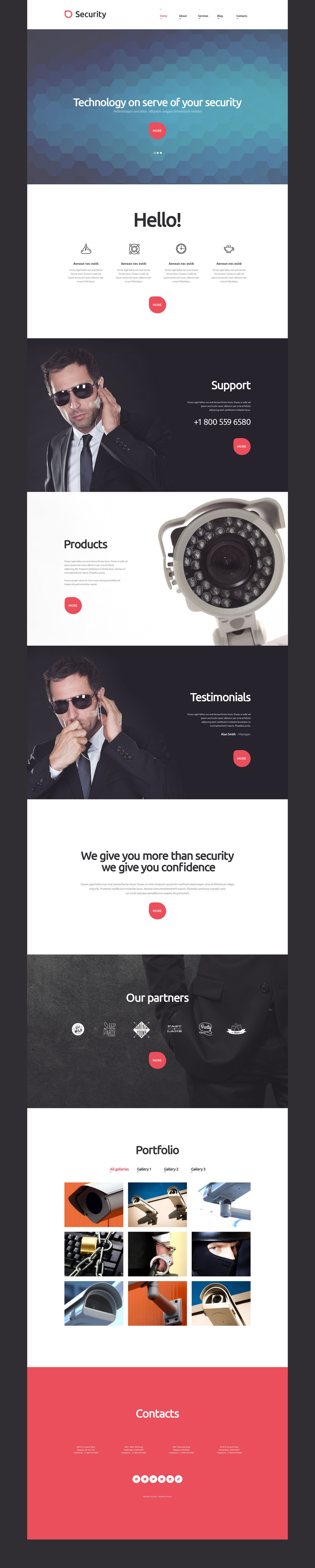 WordPress - WP3167