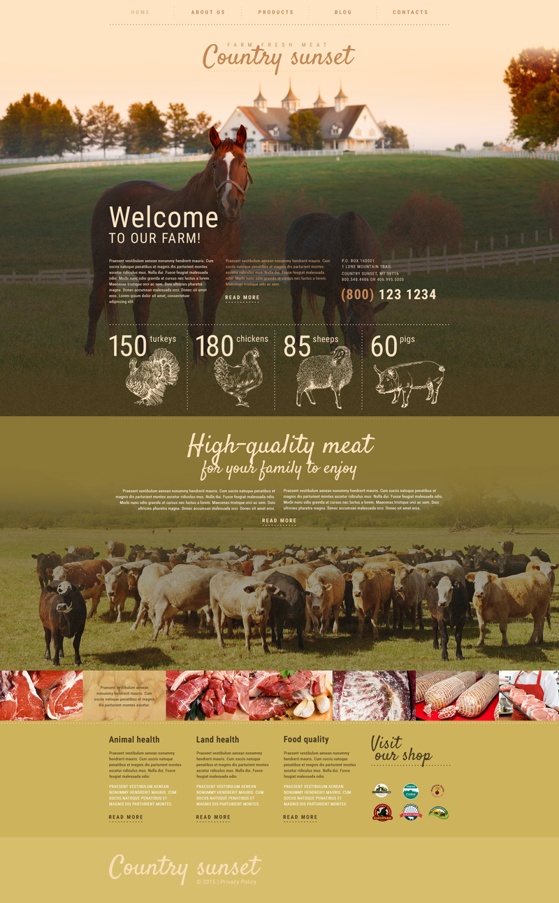 WordPress - WP3265