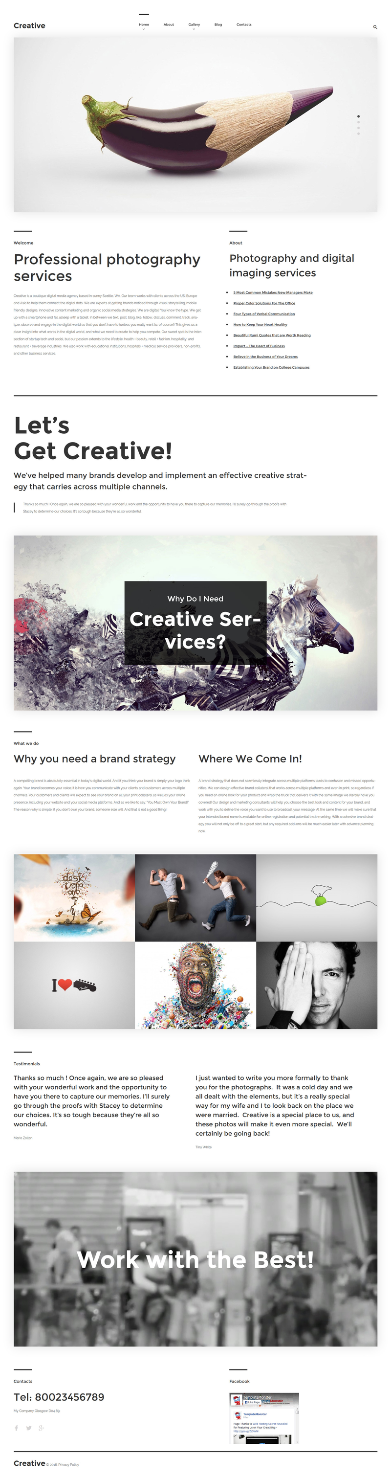 WordPress - WP3317