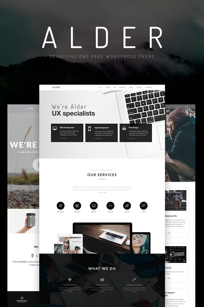 WordPress - WP3926