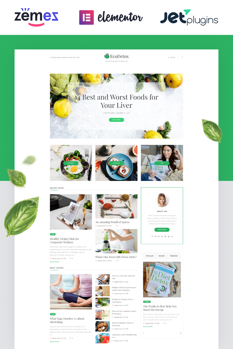 WordPress - WP4384