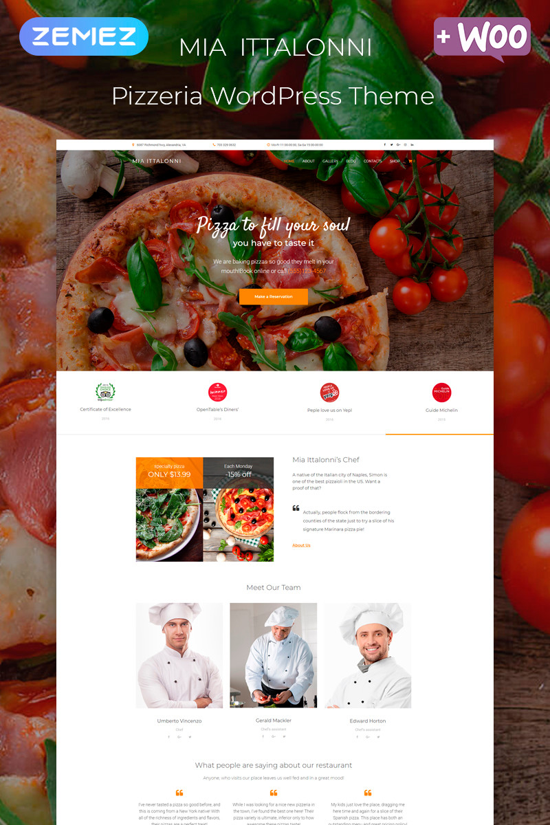 WordPress - WP4537