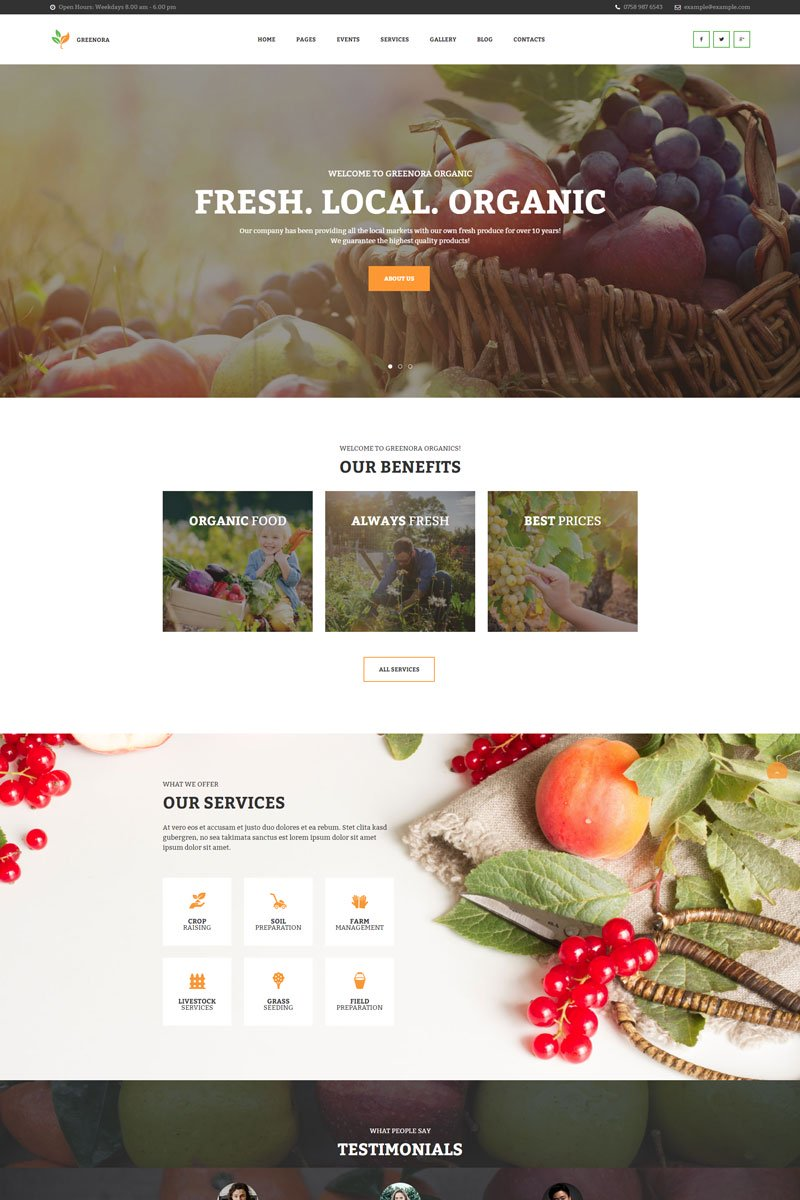 WordPress - WP4760