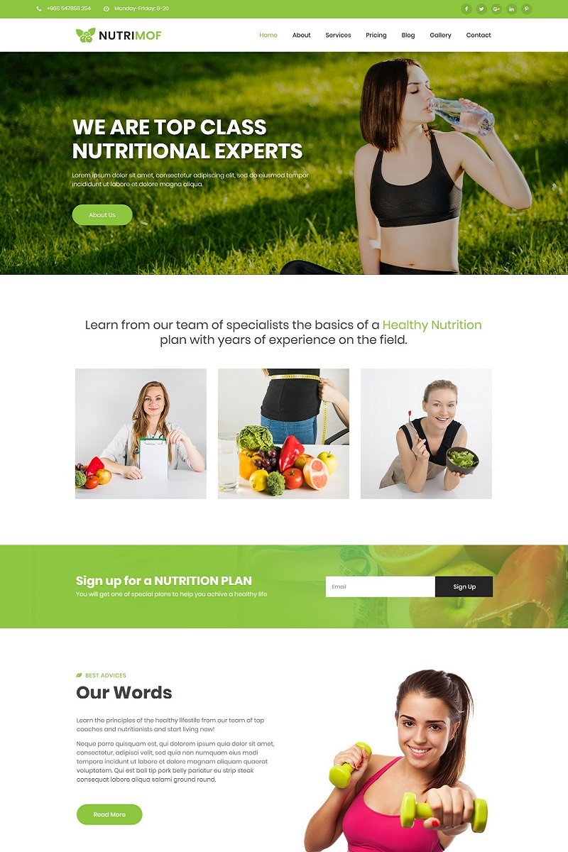 WordPress - WP4802