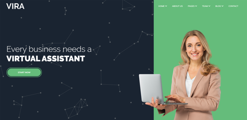 WordPress - WP16530