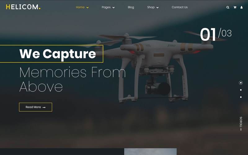 WordPress - WP17184