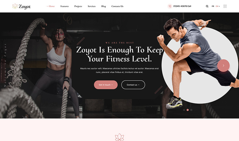WordPress - WP18960