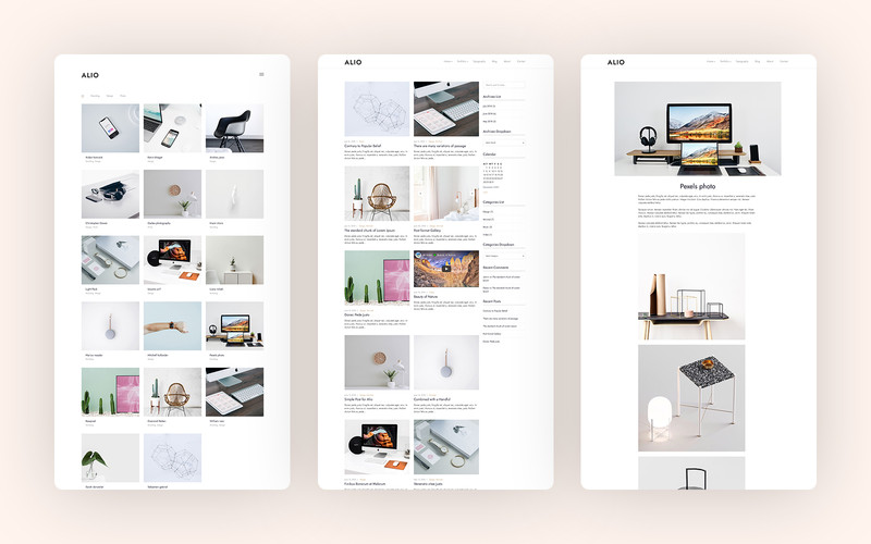 WordPress - WP19001